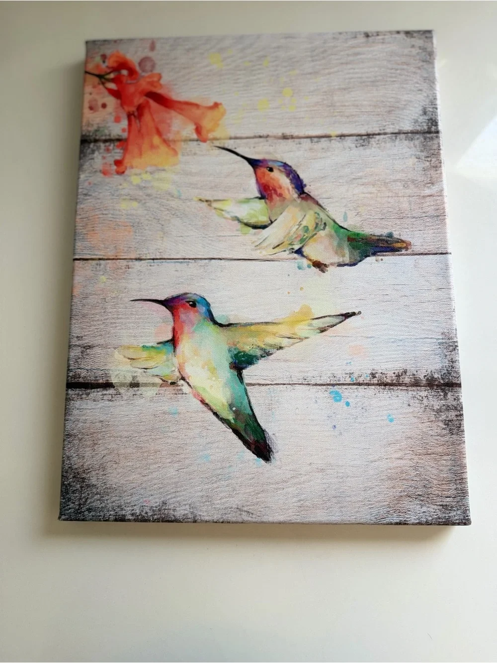 Set of 3 Colorful Hummingbird Wall Art Canvas - Multicolor